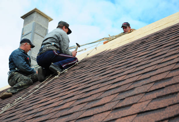 Best Local Roofing Companies  in New Cumberland, WV