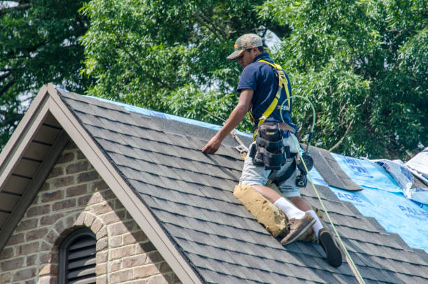 Best Storm Damage Roof Repair  in New Cumberland, WV